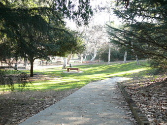 Enlarge photo 37