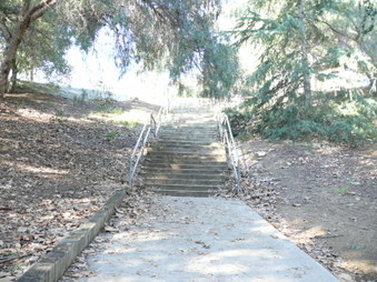 Enlarge photo 38
