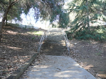 Enlarge photo 39