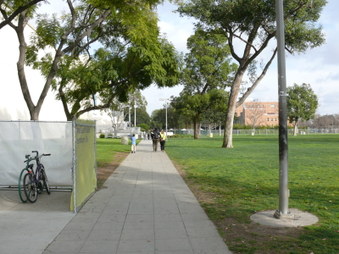 Enlarge photo 16