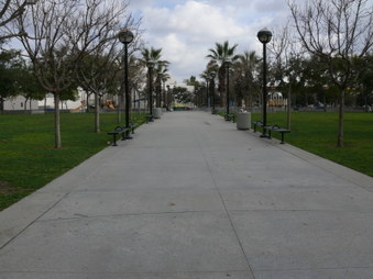 Enlarge photo 15
