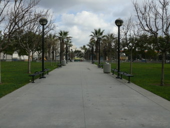 Enlarge photo 16