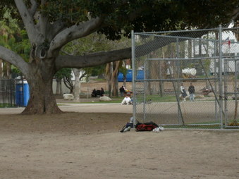 Enlarge photo 14