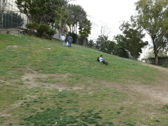 Enlarge photo 15