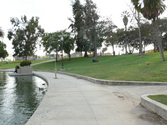 Enlarge photo 12