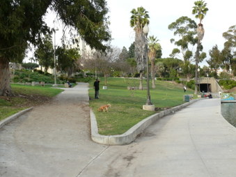 Enlarge photo 14
