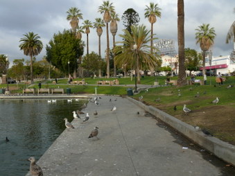 Enlarge photo 23