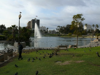 Enlarge photo 24