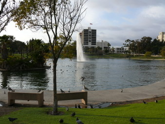 Enlarge photo 25
