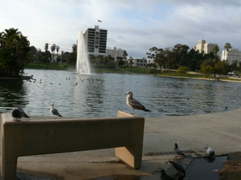 Enlarge photo 26