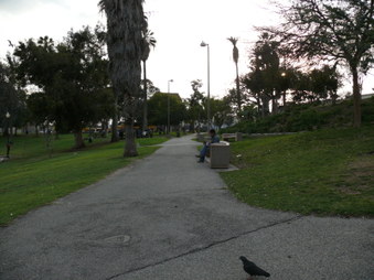 Enlarge photo 34
