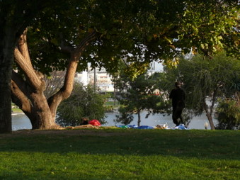 Enlarge photo 37