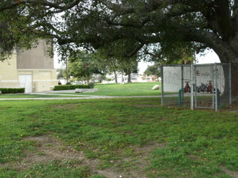 Enlarge photo 14