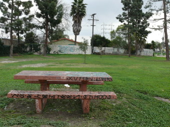 Enlarge photo 25