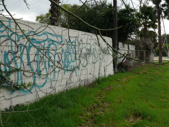Enlarge photo 29
