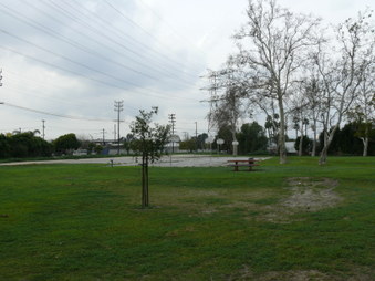 Enlarge photo 30