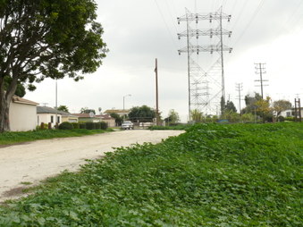 Enlarge photo 37