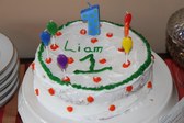 Abbie and Liam's birthday 11-22-09