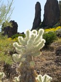 Enlarge photo 10