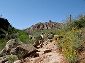 Enlarge photo 16