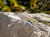 Enlarge photo 18