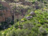 Enlarge photo 19