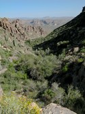 Enlarge photo 22