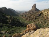 Enlarge photo 23