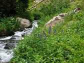 Enlarge photo 19