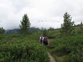 Enlarge photo 18