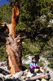 Enlarge photo 12