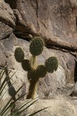 Enlarge photo 24