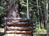Enlarge photo 3