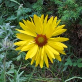 Enlarge photo 15
