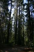 Yosemite 8-04