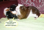 Enlarge photo 10