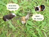 Enlarge photo 5