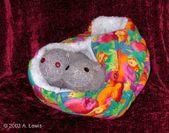 Sock Guinea Pigs by LilyGrace & Izzy