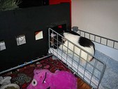 Enlarge photo 9