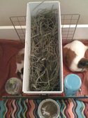 Enlarge photo 8