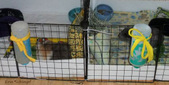 Enlarge photo 1