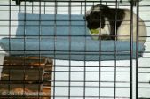 Enlarge photo 14