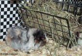 Enlarge photo 6
