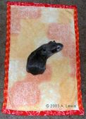 Enlarge photo 10
