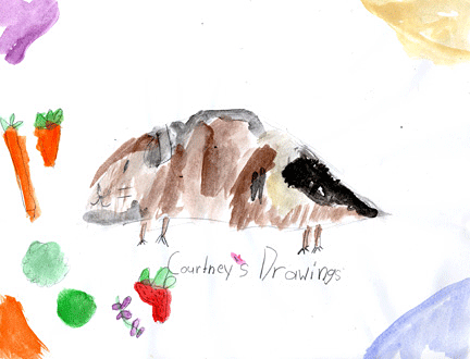 Enlarge photo 5