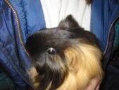 Enlarge photo 5