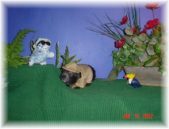 Enlarge photo 2