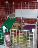 Enlarge photo 3