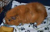 Enlarge photo 25