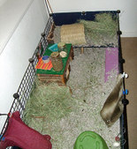 Enlarge photo 1